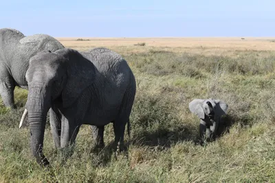 DSC_3876 (Large).JPG